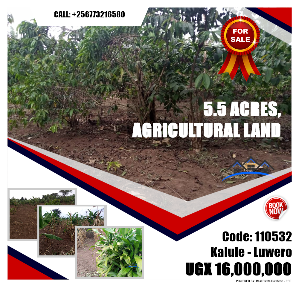 Agricultural Land  for sale in Kalule Luweero Uganda, code: 110532