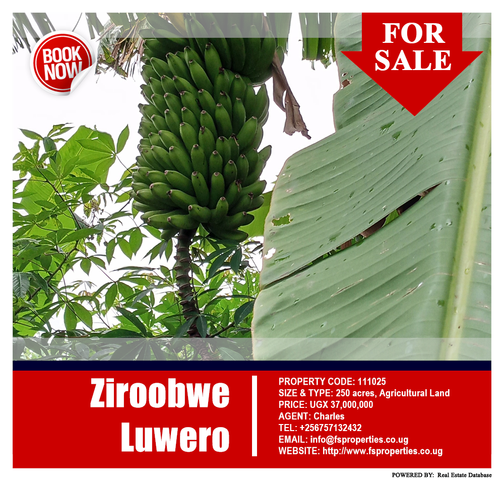 Agricultural Land  for sale in Ziloobwe Luweero Uganda, code: 111025