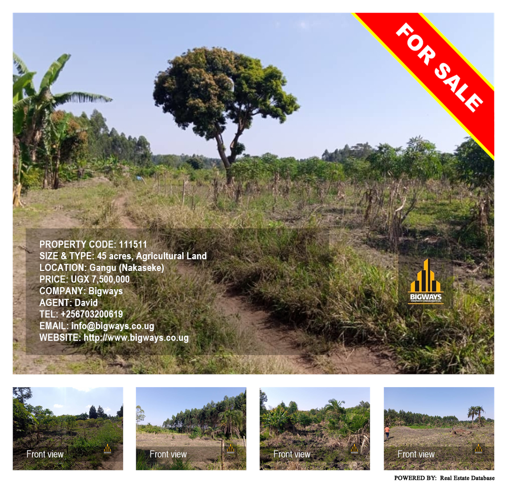 Agricultural Land  for sale in Ggangu Nakaseke Uganda, code: 111511
