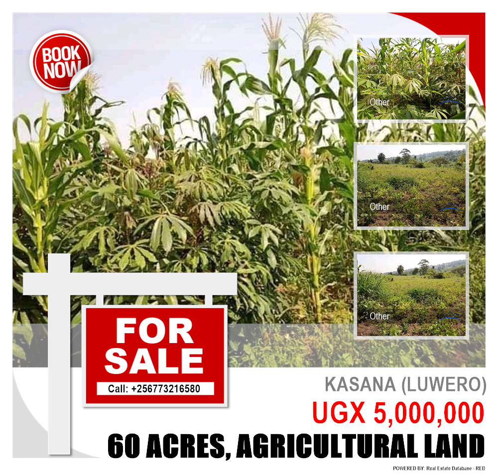 Agricultural Land  for sale in Kasana Luweero Uganda, code: 112090