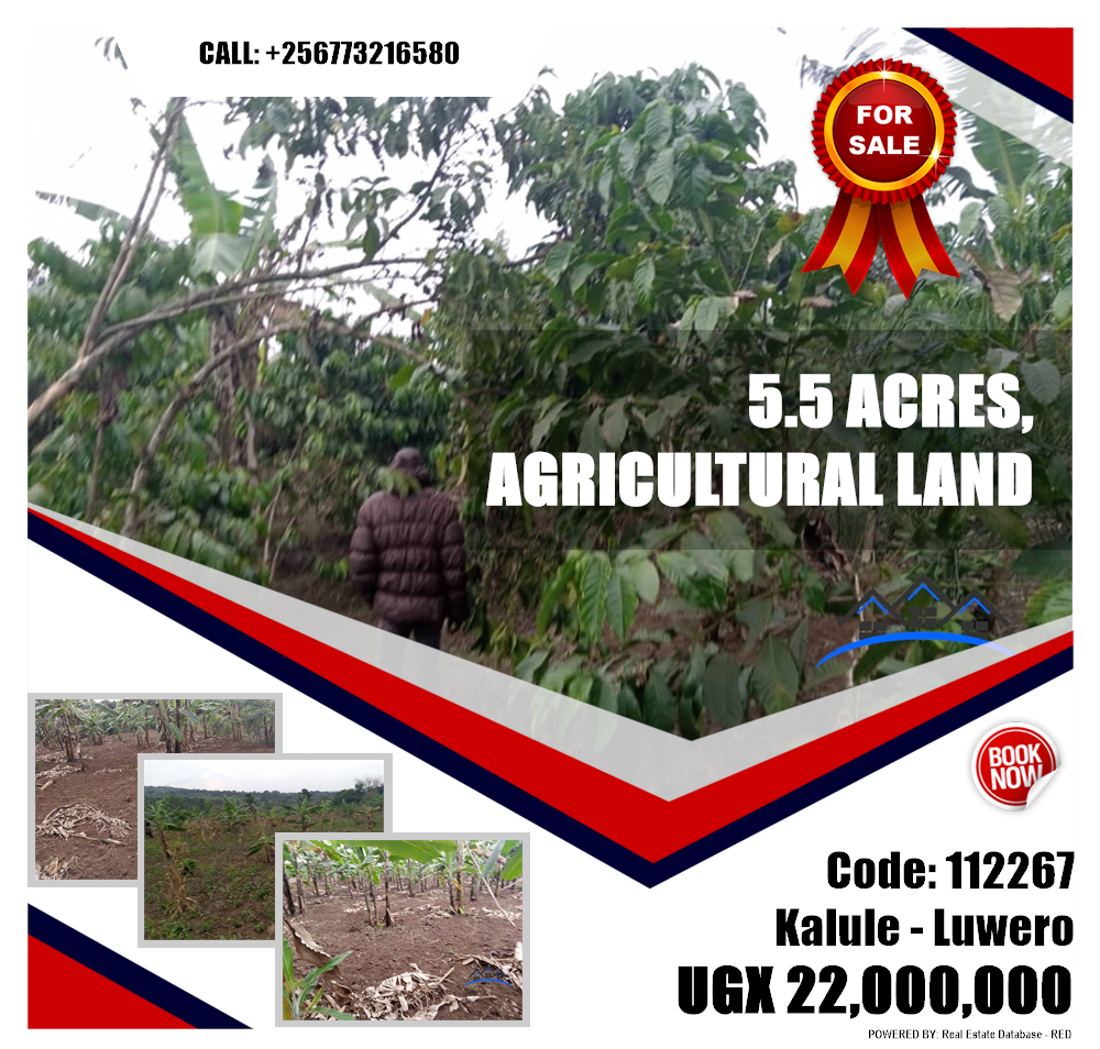 Agricultural Land  for sale in Kalule Luweero Uganda, code: 112267