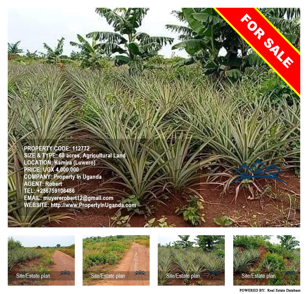 Agricultural Land  for sale in Kamila Luweero Uganda, code: 112772