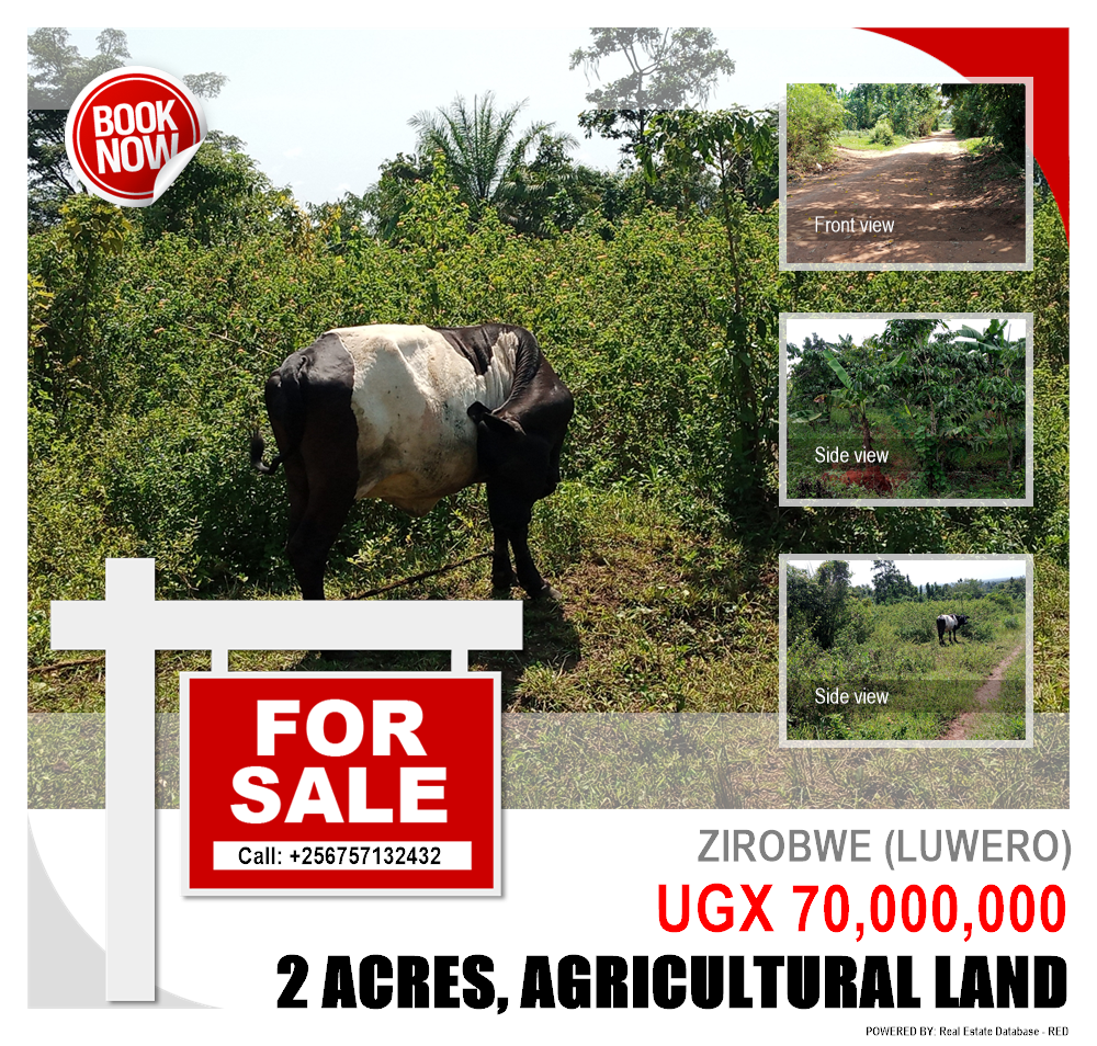 Agricultural Land  for sale in Ziloobwe Luweero Uganda, code: 113213