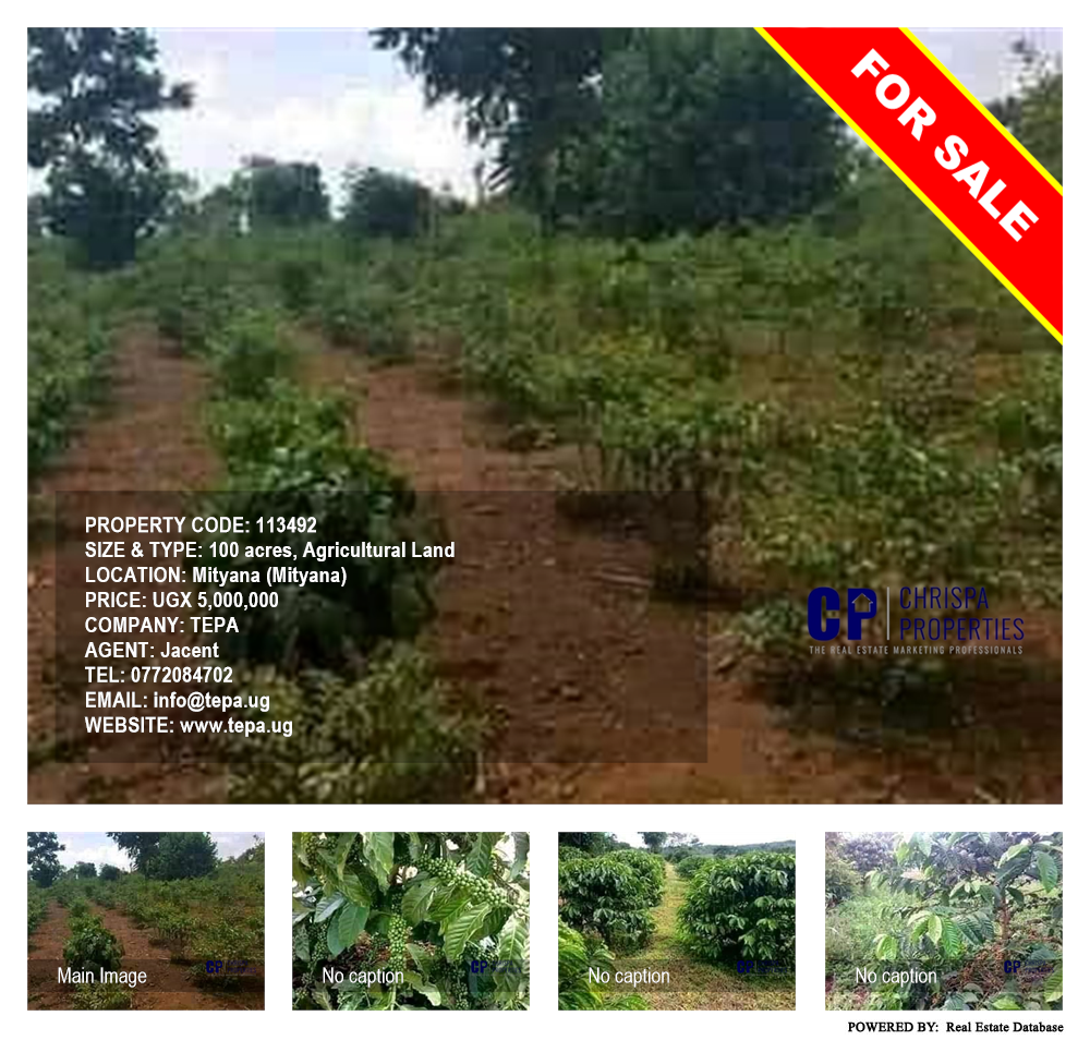 Agricultural Land  for sale in Mityana Mityana Uganda, code: 113492