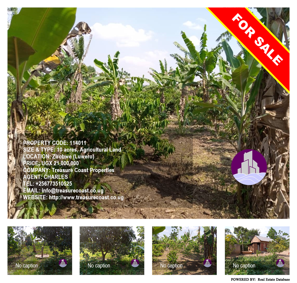 Agricultural Land  for sale in Ziloobwe Luweero Uganda, code: 114011