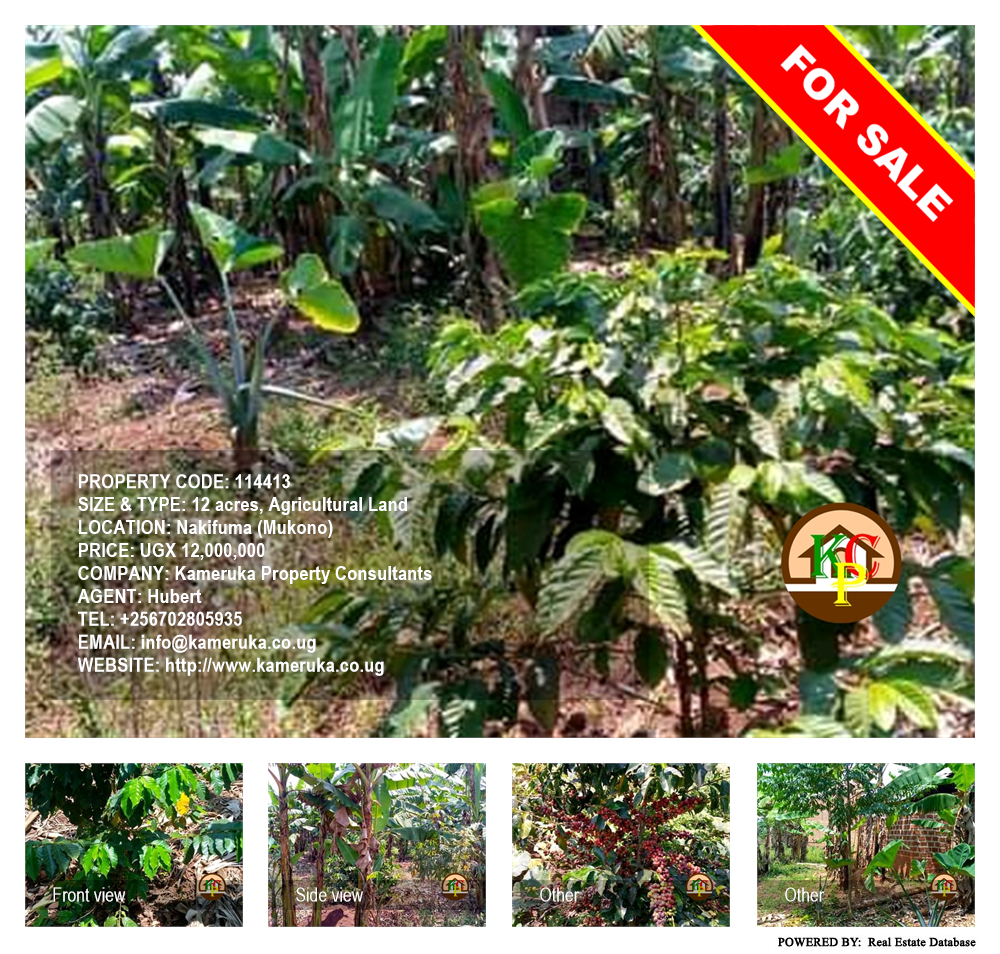 Agricultural Land  for sale in Nakifuma Mukono Uganda, code: 114413