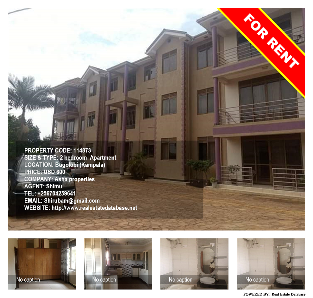 2 bedroom Apartment  for rent in Bugoloobi Kampala Uganda, code: 114873