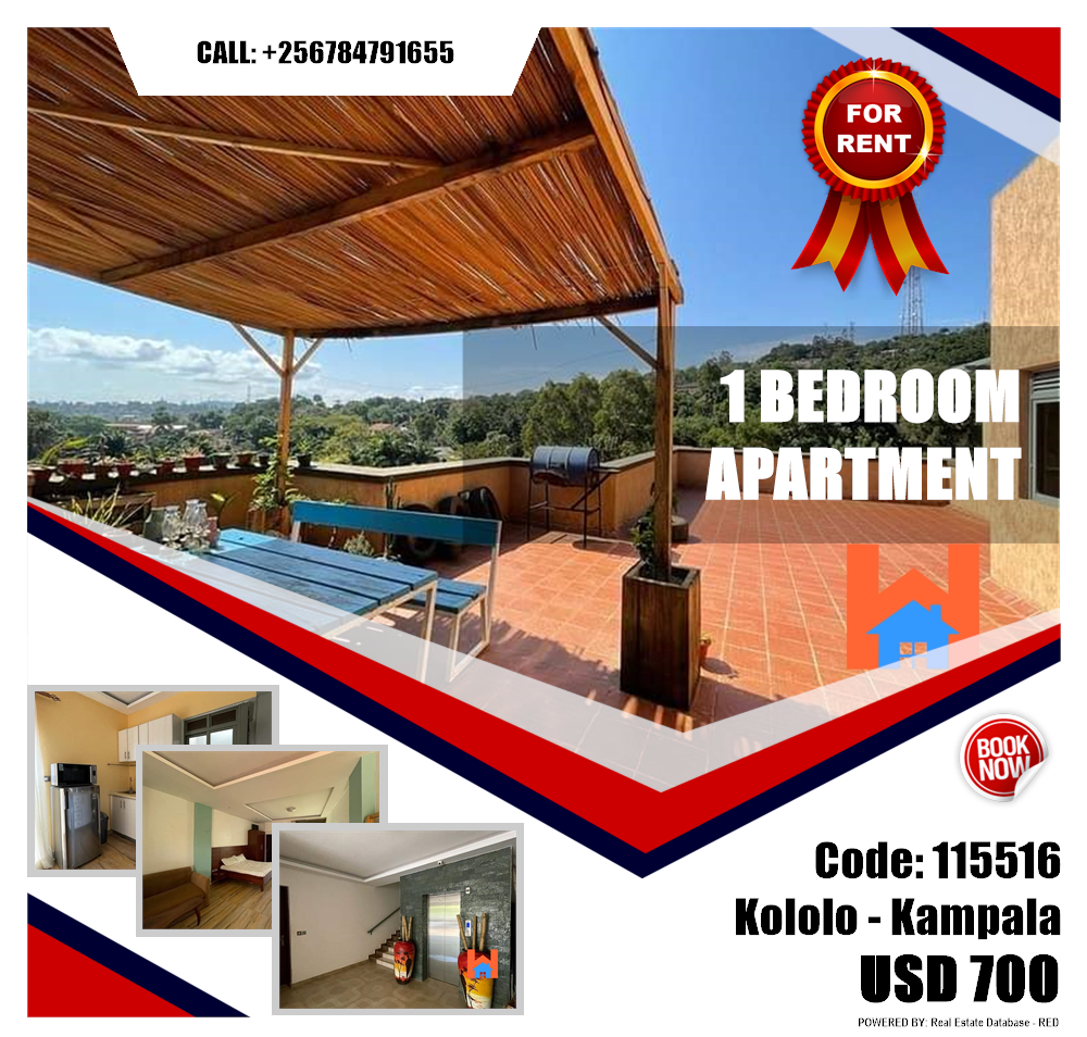 1 bedroom Apartment  for rent in Kololo Kampala Uganda, code: 115516