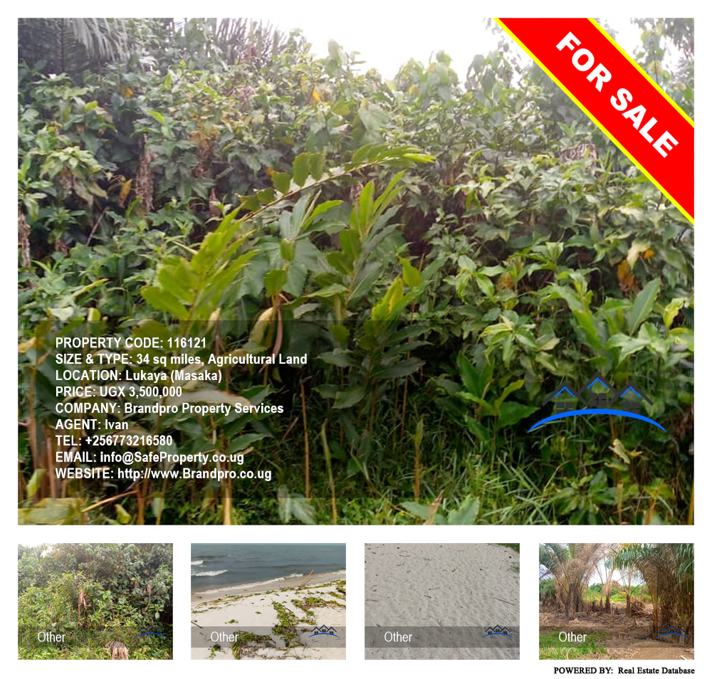 Agricultural Land  for sale in Lukaya Masaka Uganda, code: 116121