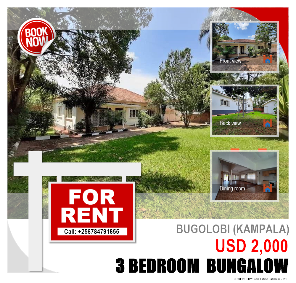 3 bedroom Bungalow  for rent in Bugoloobi Kampala Uganda, code: 116224