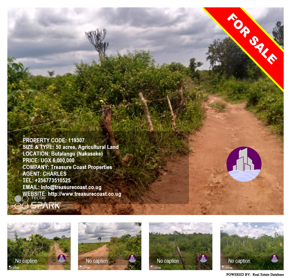 Agricultural Land  for sale in Butalangu Nakaseke Uganda, code: 119307
