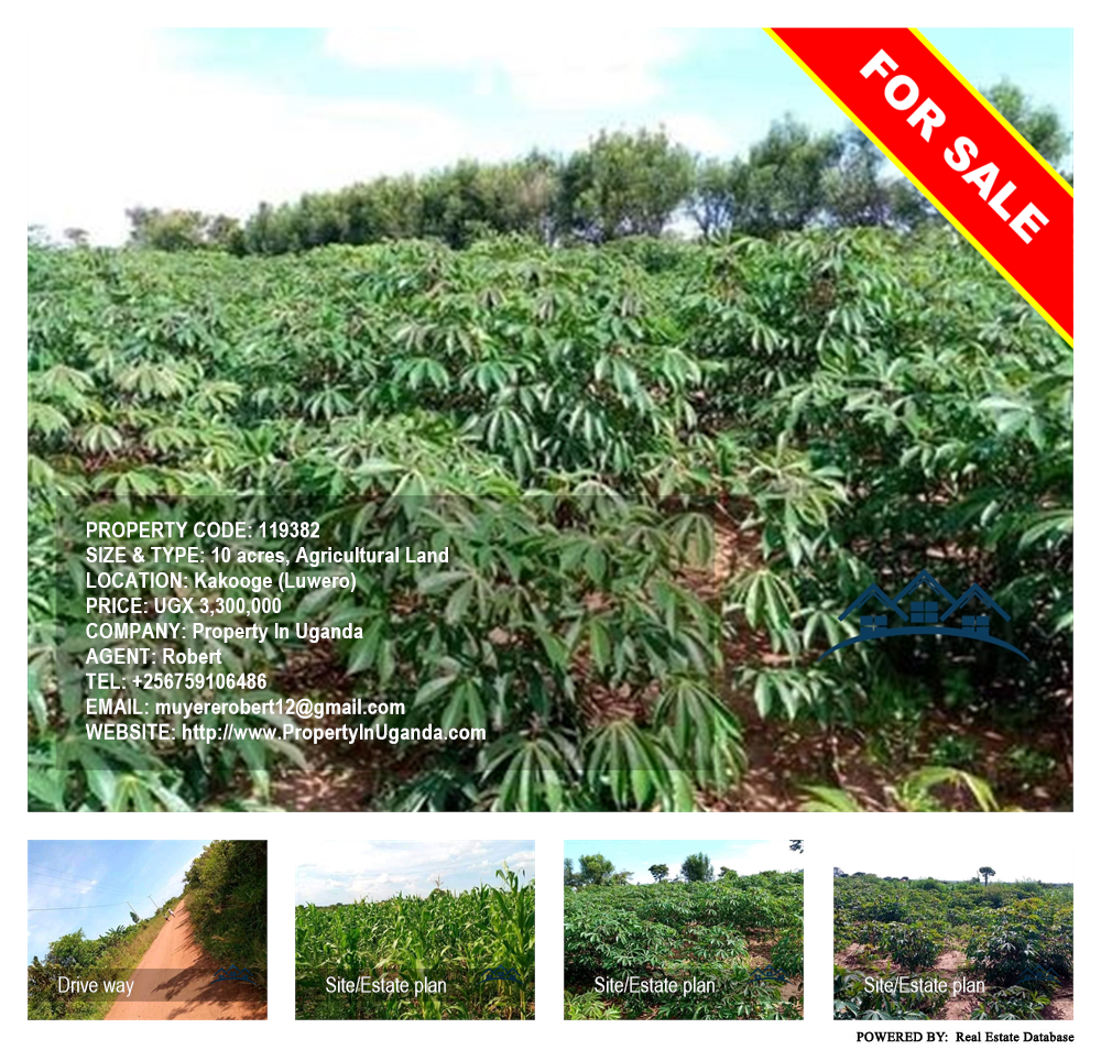 Agricultural Land  for sale in Kakooge Luweero Uganda, code: 119382