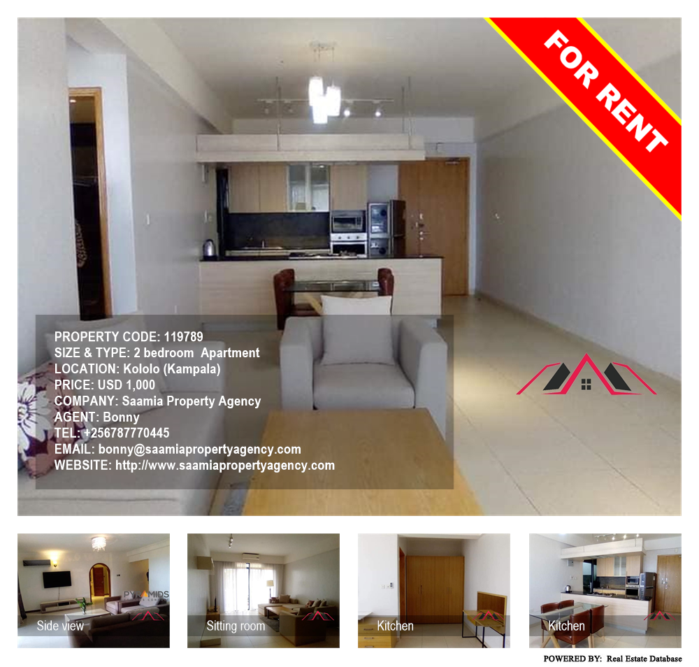 2 bedroom Apartment  for rent in Kololo Kampala Uganda, code: 119789