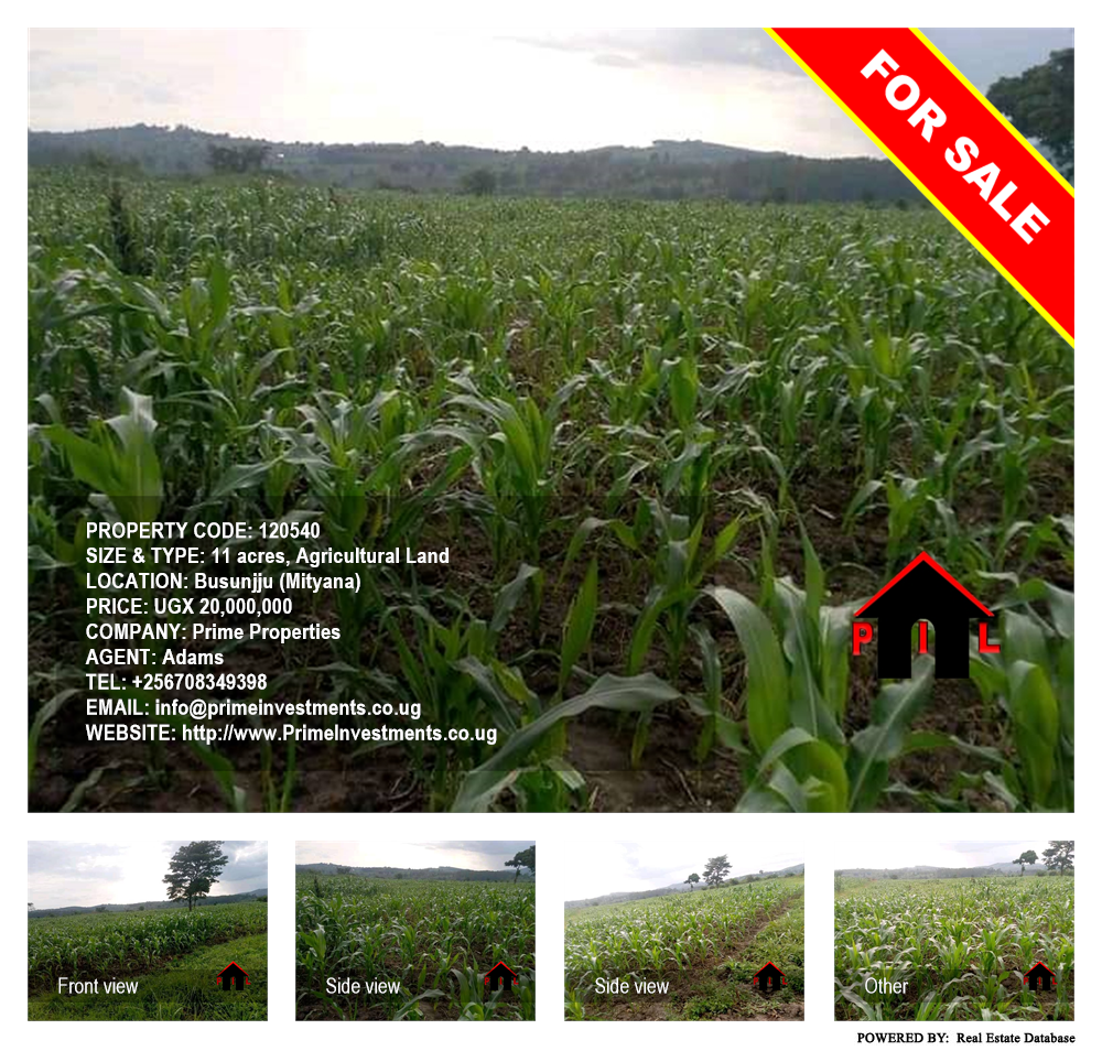Agricultural Land  for sale in Busunjju Mityana Uganda, code: 120540