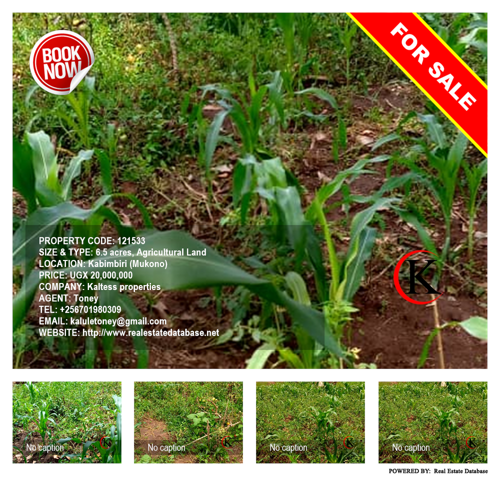 Agricultural Land  for sale in Kabimbili Mukono Uganda, code: 121533