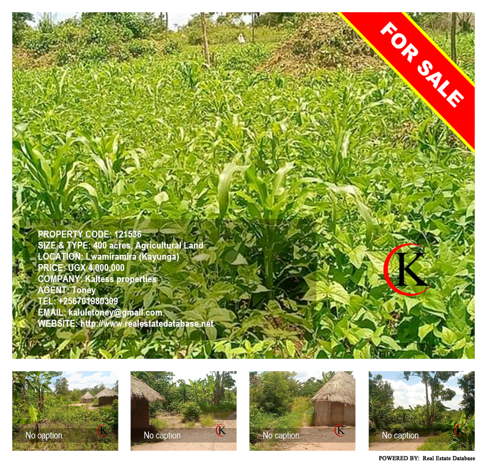 Agricultural Land  for sale in Lwamiramira Kayunga Uganda, code: 121536