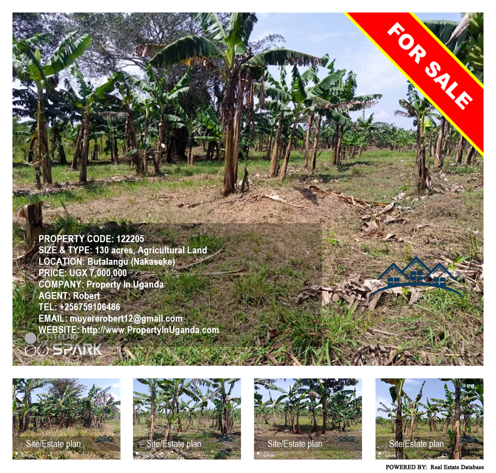 Agricultural Land  for sale in Butalangu Nakaseke Uganda, code: 122205