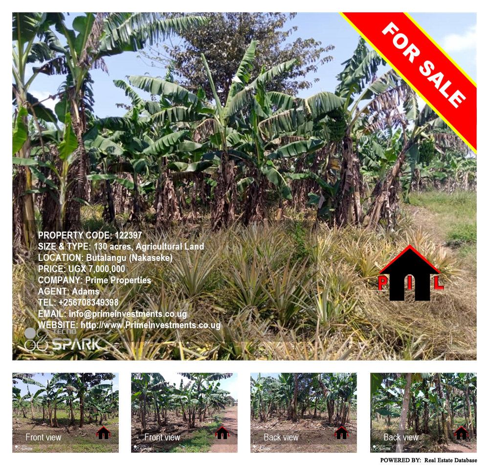 Agricultural Land  for sale in Butalangu Nakaseke Uganda, code: 122397