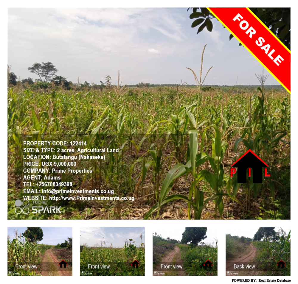 Agricultural Land  for sale in Butalangu Nakaseke Uganda, code: 122414