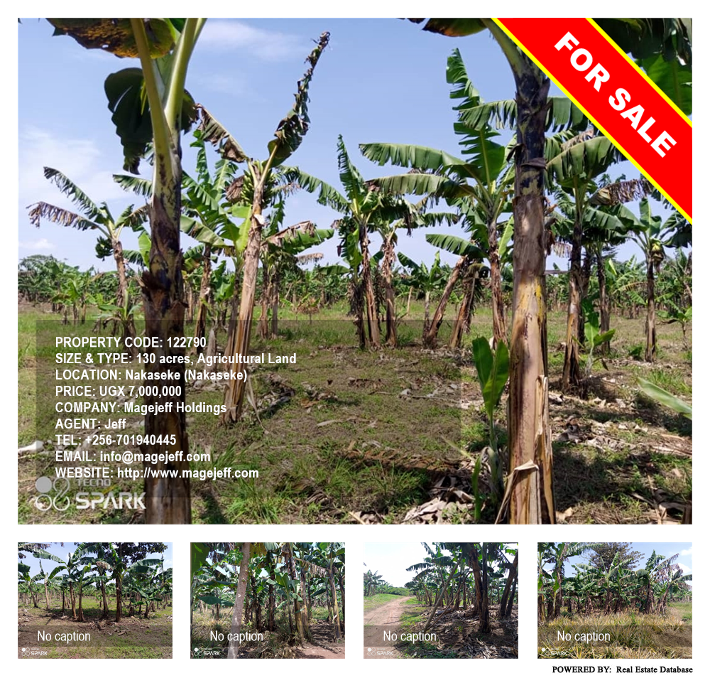 Agricultural Land  for sale in Nakaseke Nakaseke Uganda, code: 122790