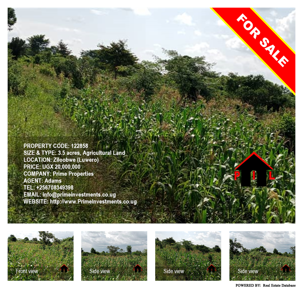 Agricultural Land  for sale in Ziloobwe Luweero Uganda, code: 122858