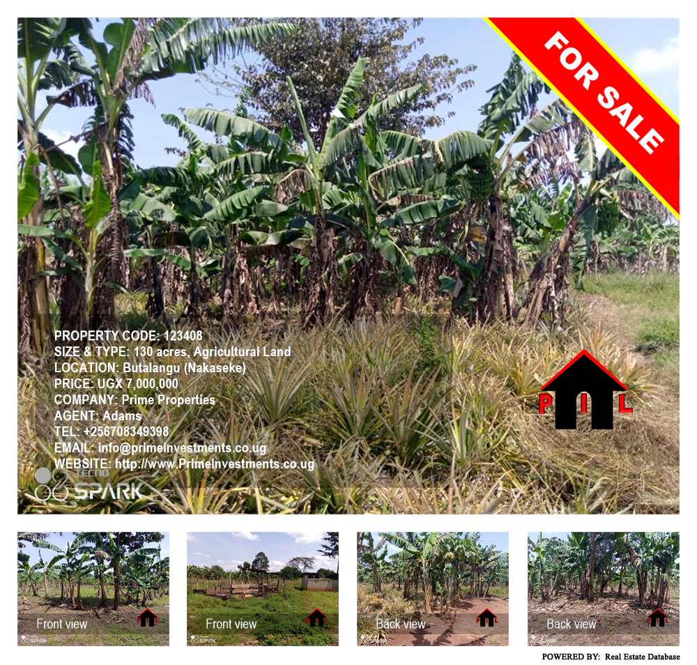 Agricultural Land  for sale in Butalangu Nakaseke Uganda, code: 123408
