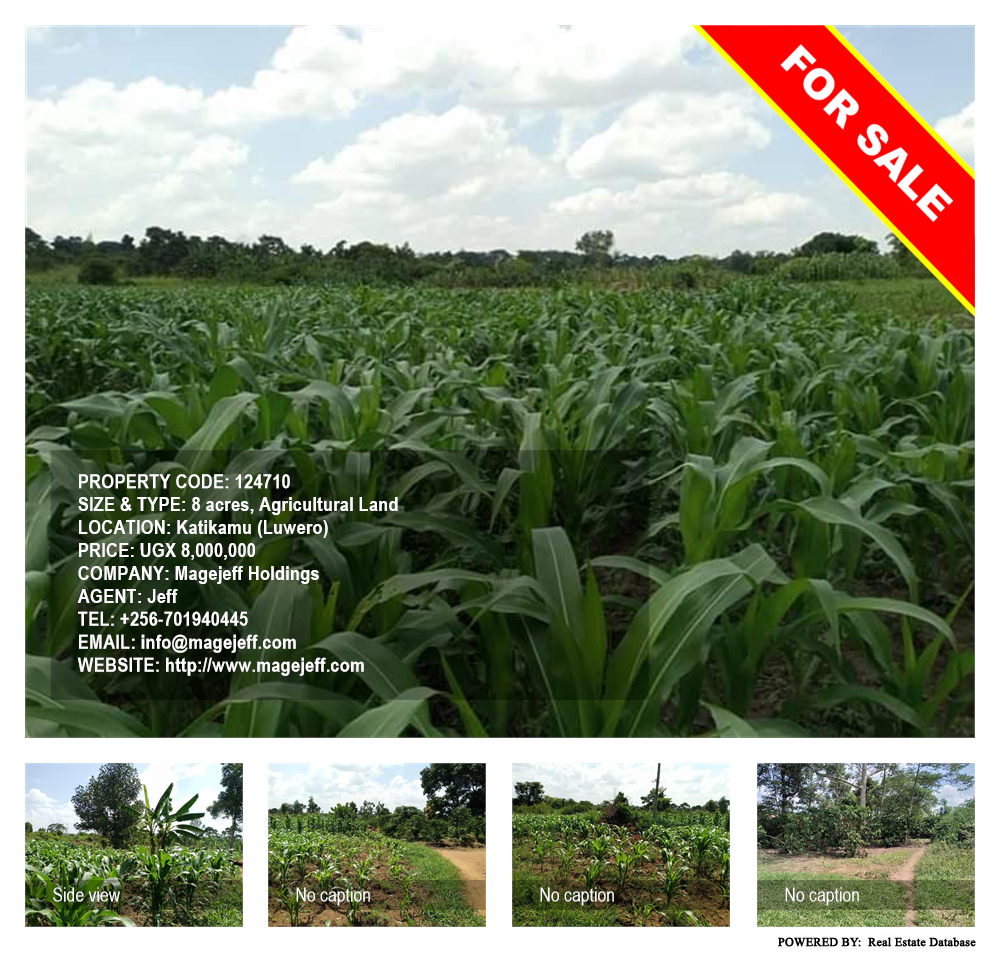 Agricultural Land  for sale in Katikamu Luweero Uganda, code: 124710