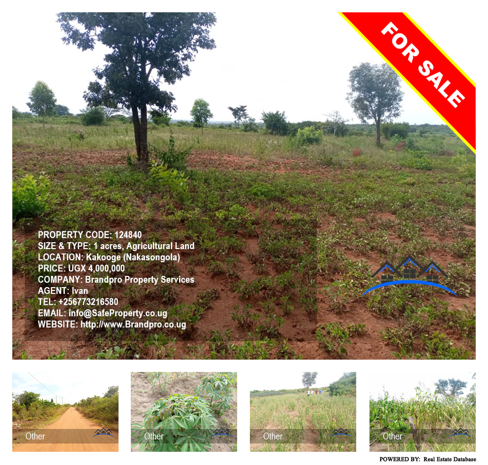 Agricultural Land  for sale in Kakooge Nakasongola Uganda, code: 124840