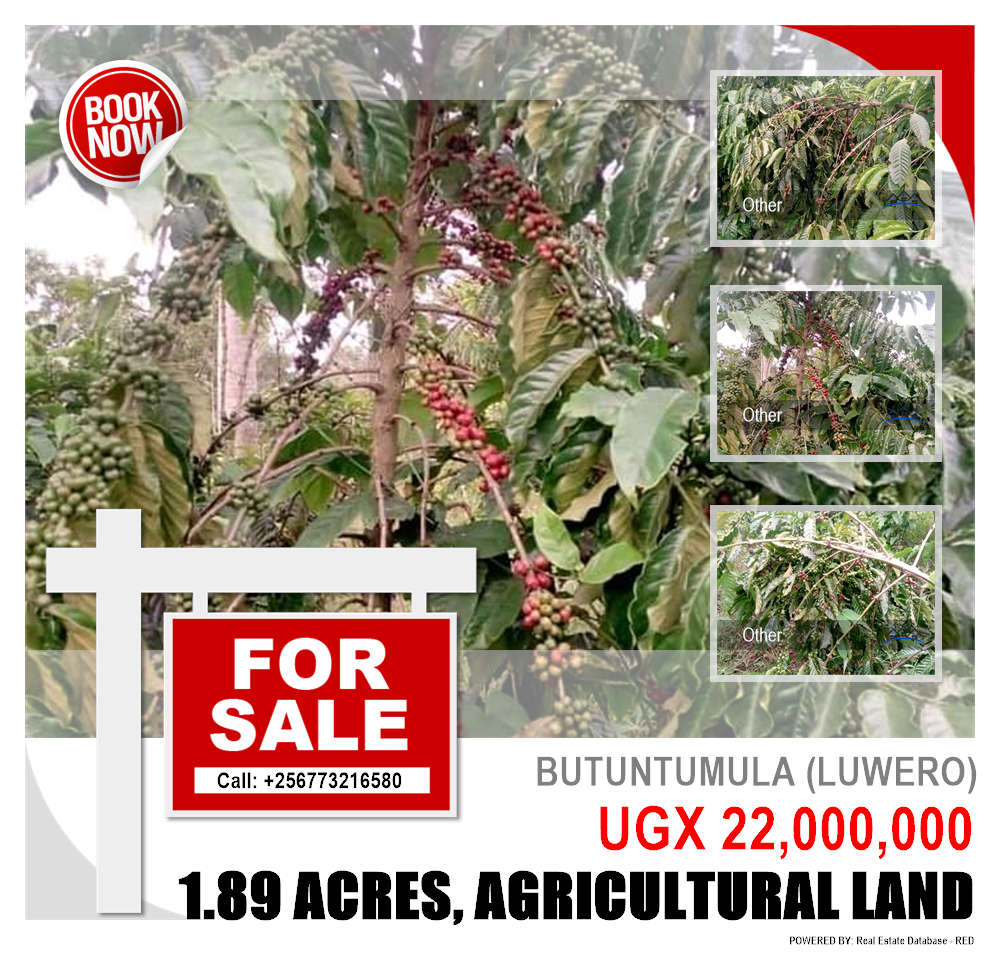 Agricultural Land  for sale in Butuntumula Luweero Uganda, code: 124891