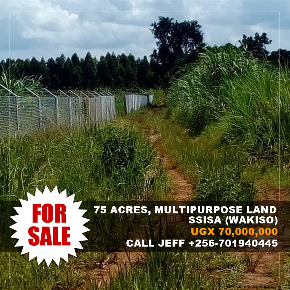 Multipurpose Land  for sale in Ssisa Wakiso Uganda, code: 125046