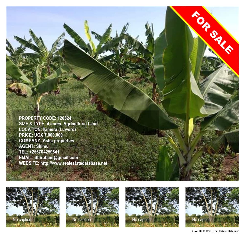 Agricultural Land  for sale in Kimera Luweero Uganda, code: 126324