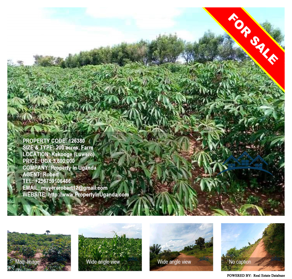 Farm  for sale in Kakooge Luwero Uganda, code: 126380