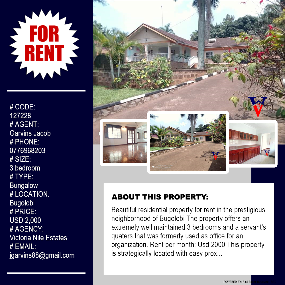 3 bedroom Bungalow  for rent in Bugoloobi Kampala Uganda, code: 127228