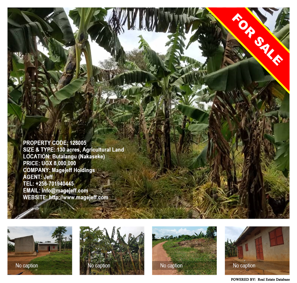 Agricultural Land  for sale in Butalangu Nakaseke Uganda, code: 128005