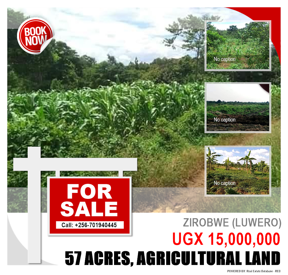 Agricultural Land  for sale in Ziloobwe Luweero Uganda, code: 128623