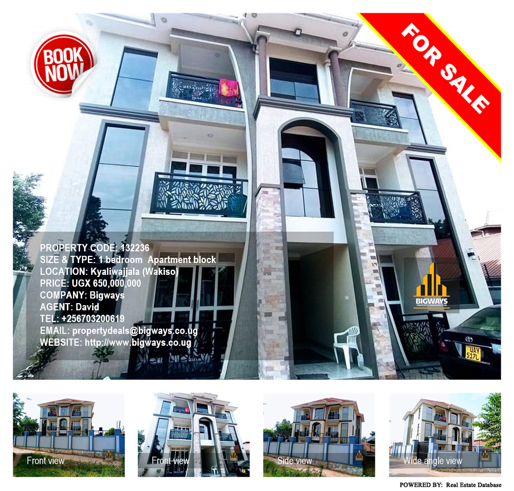 1 bedroom Apartment block  for sale in Kyaliwajjala Wakiso Uganda, code: 132236