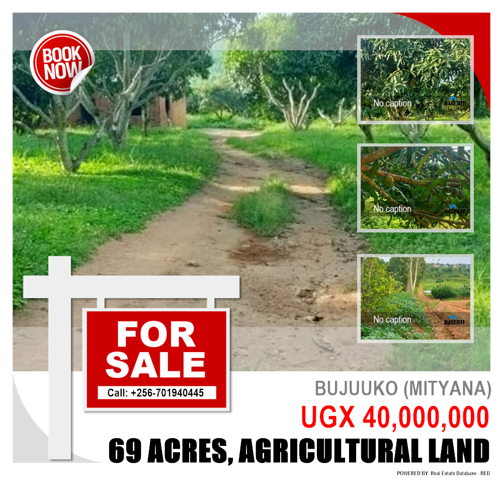 Agricultural Land  for sale in Bujuuko Mityana Uganda, code: 133501
