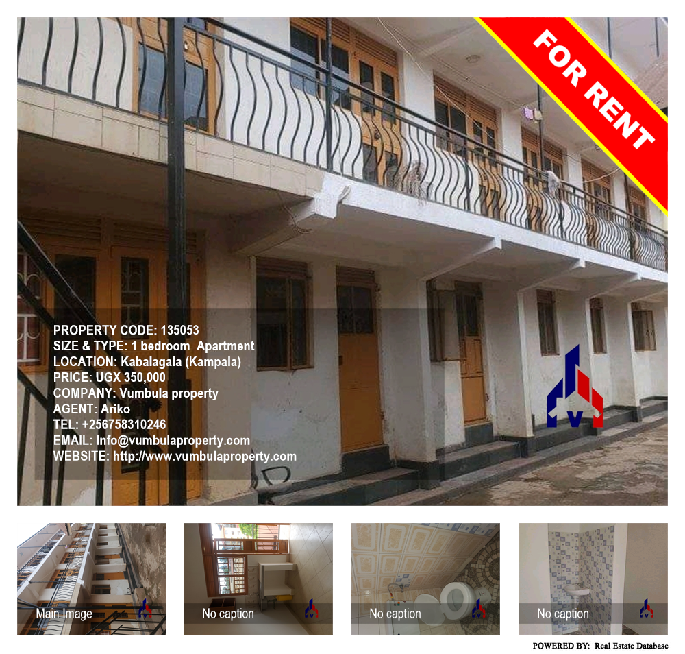 1 bedroom Apartment  for rent in Kabalagala Kampala Uganda, code: 135053