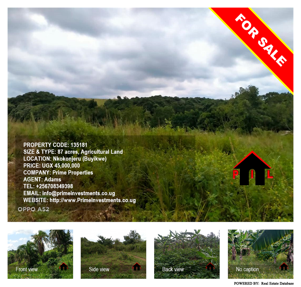 Agricultural Land  for sale in Nkokonjeru Buyikwe Uganda, code: 135181