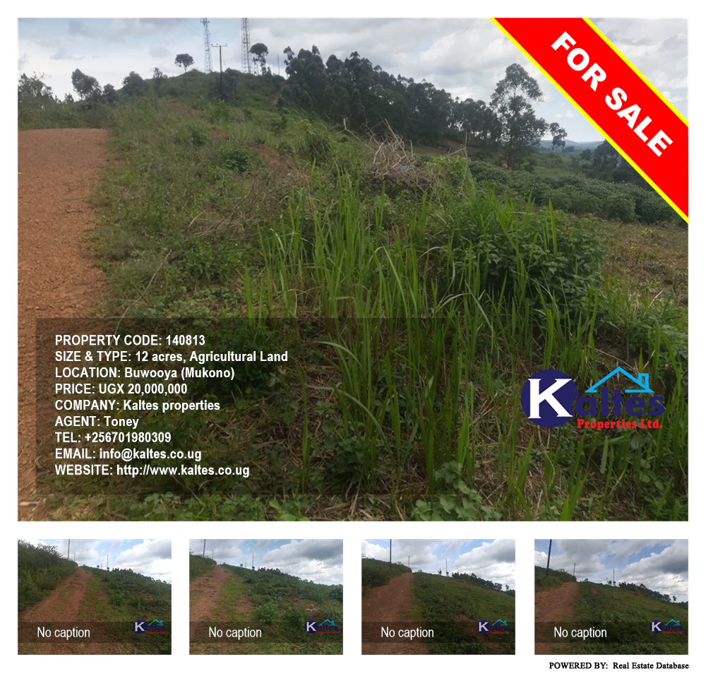 Agricultural Land  for sale in Buwooya Mukono Uganda, code: 140813