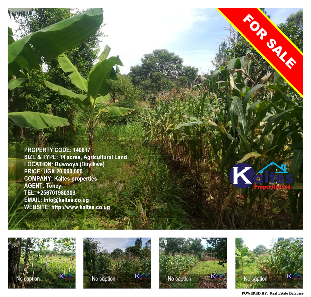 Agricultural Land  for sale in Buwooya Buyikwe Uganda, code: 140817