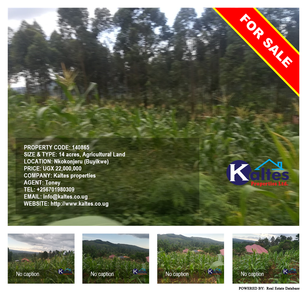 Agricultural Land  for sale in Nkokonjeru Buyikwe Uganda, code: 140865