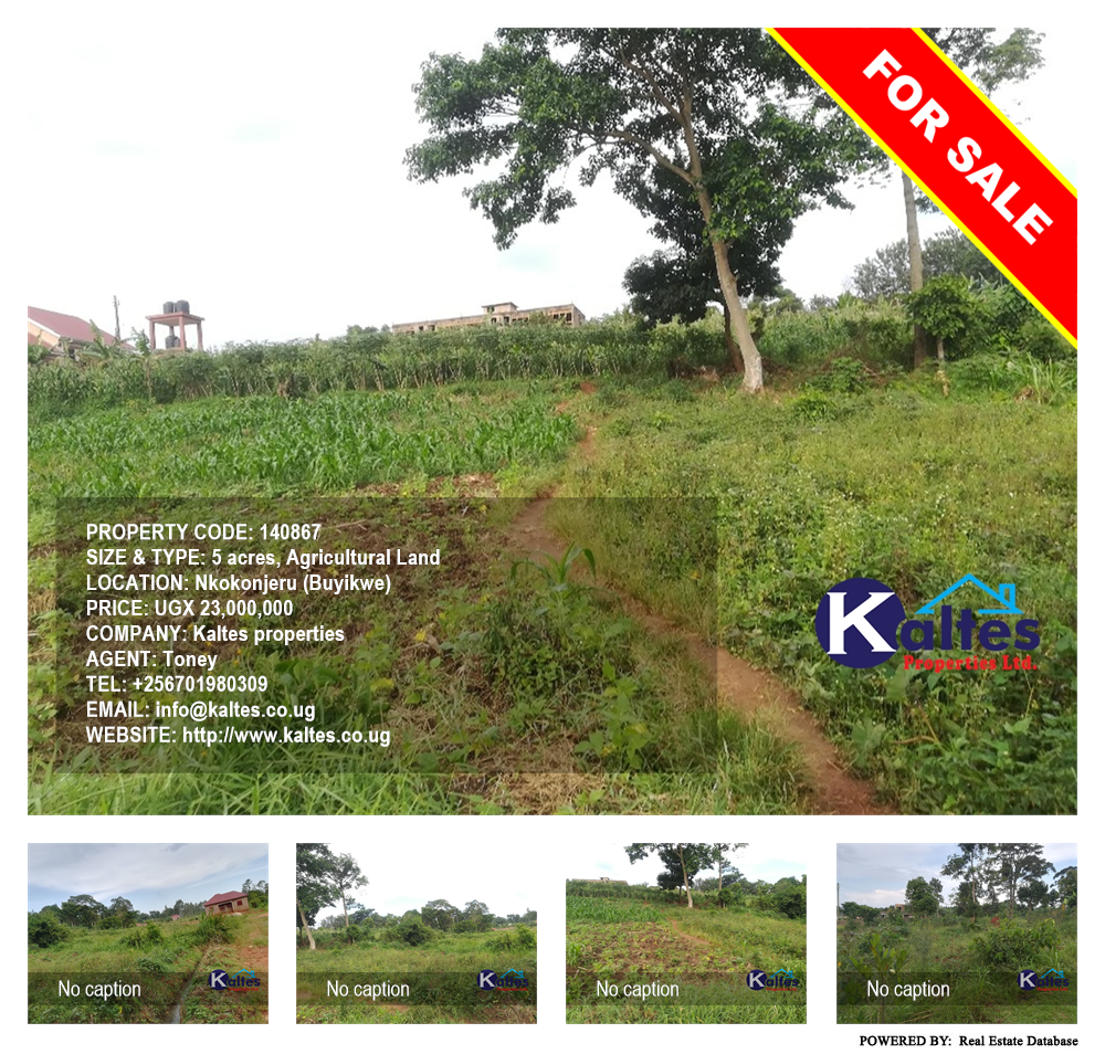 Agricultural Land  for sale in Nkokonjeru Buyikwe Uganda, code: 140867