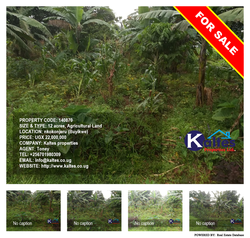 Agricultural Land  for sale in Nkokonjeru Buyikwe Uganda, code: 140870