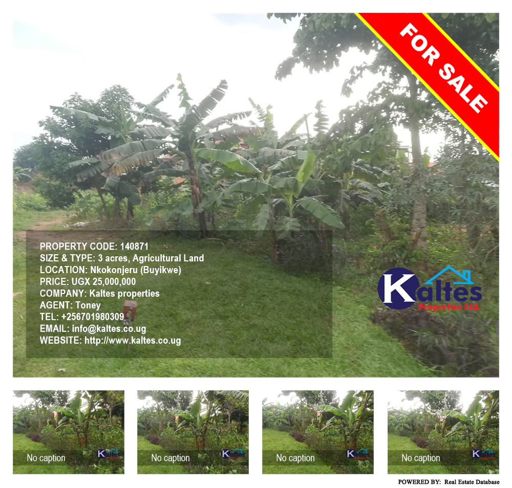 Agricultural Land  for sale in Nkokonjeru Buyikwe Uganda, code: 140871