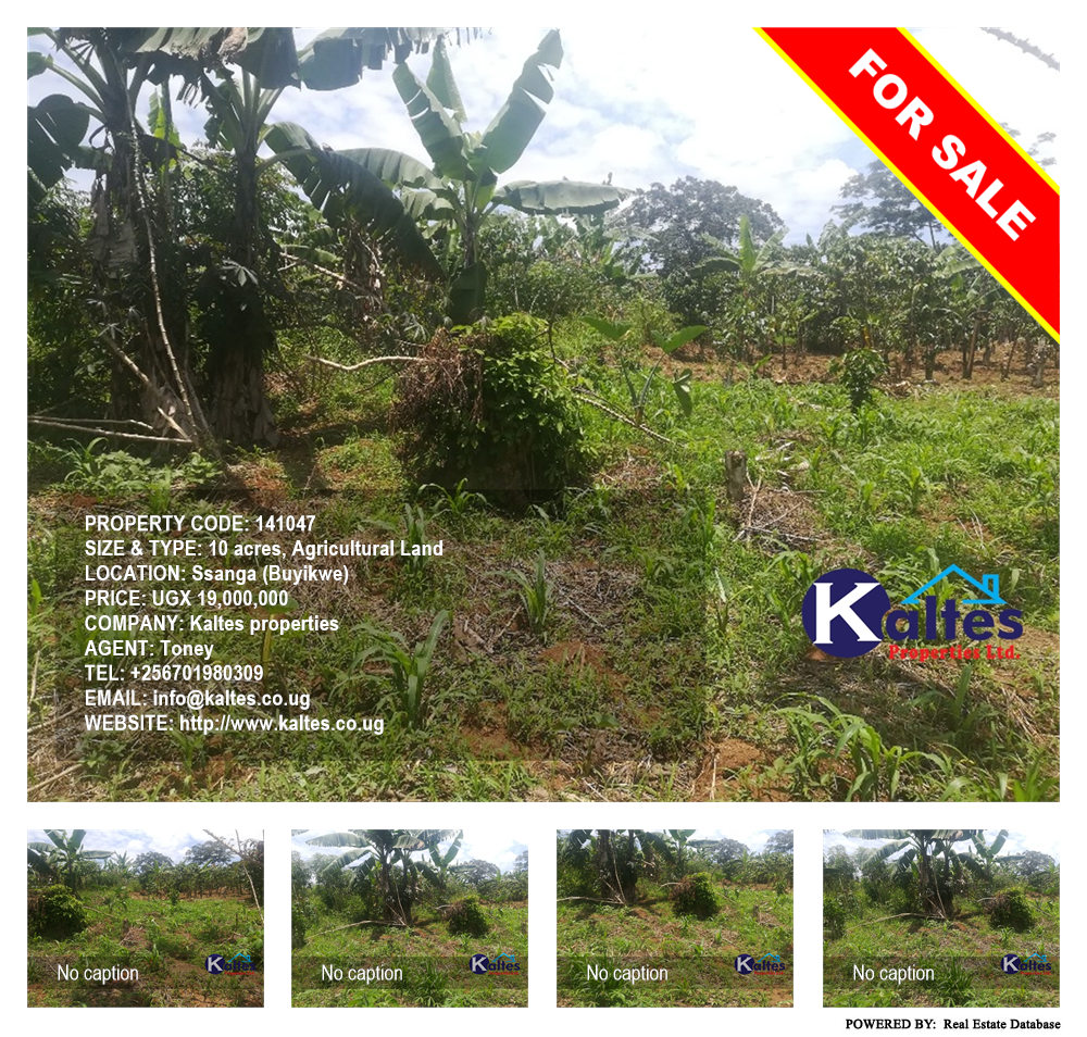 Agricultural Land  for sale in Ssanga Buyikwe Uganda, code: 141047