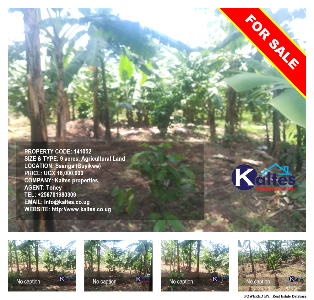 Agricultural Land  for sale in Ssanga Buyikwe Uganda, code: 141052