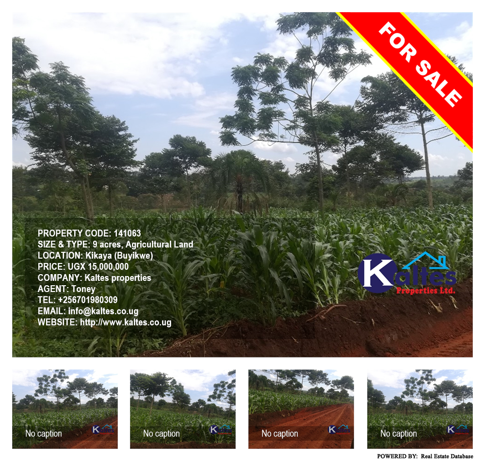 Agricultural Land  for sale in Kikaya Buyikwe Uganda, code: 141063