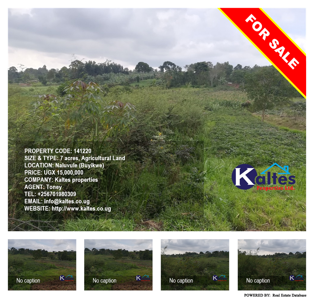 Agricultural Land  for sale in Naluvule Buyikwe Uganda, code: 141220