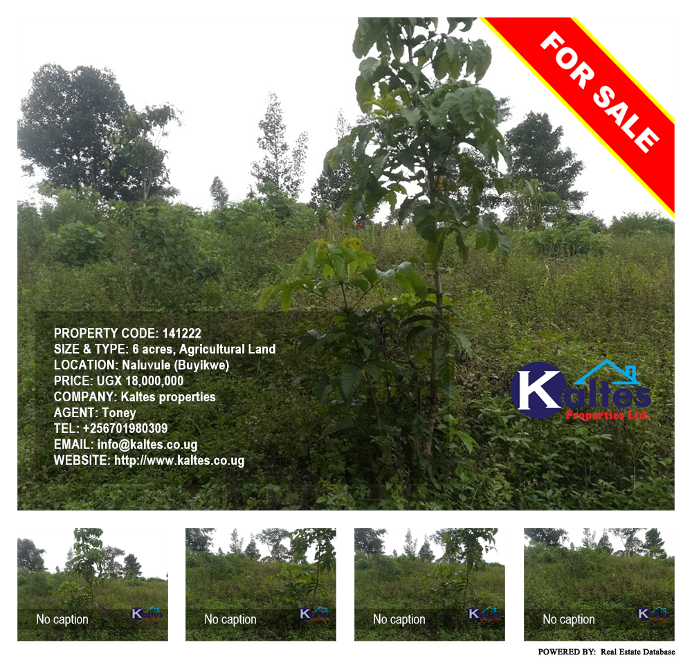Agricultural Land  for sale in Naluvule Buyikwe Uganda, code: 141222